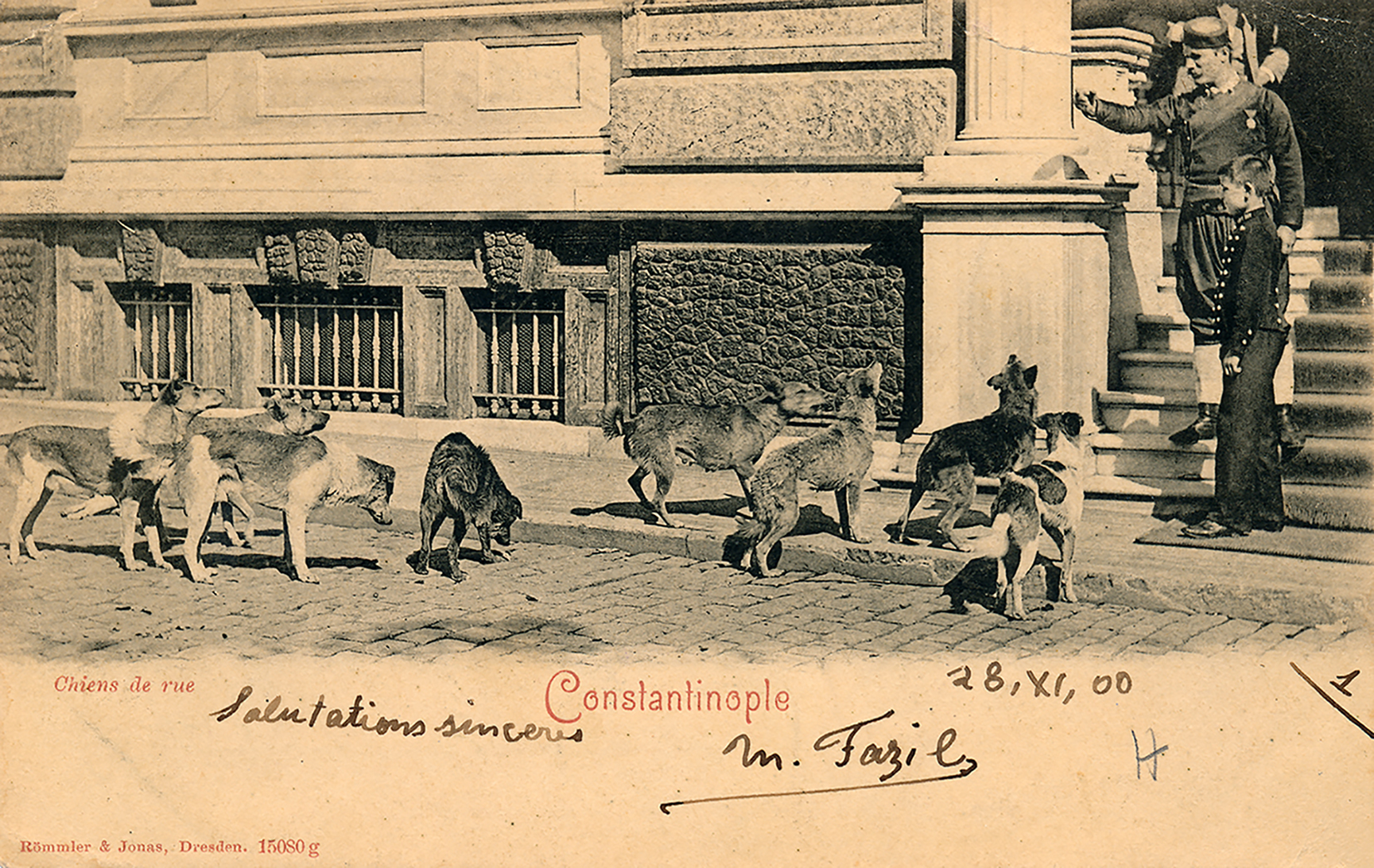 Bristol Oteli’nin (Pera Müzesi) önünde sokak köpekleri.