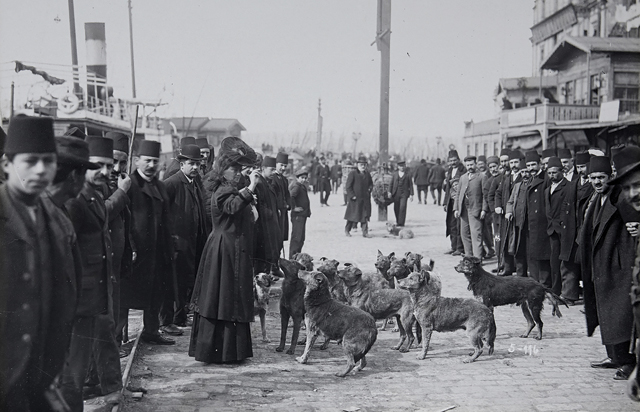 Cincinnati gemisiyle Akdeniz turuna çıkan Avrupalı bir gezgin Karaköy’de sokak köpekleriyle