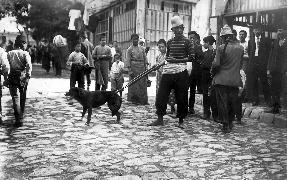 istanbul without dogs 1